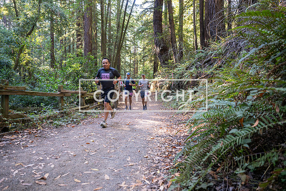 Coastal_Woodside26-367