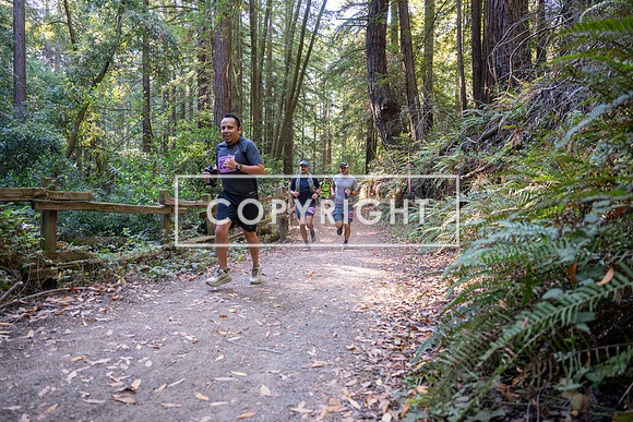 Coastal_Woodside26-368