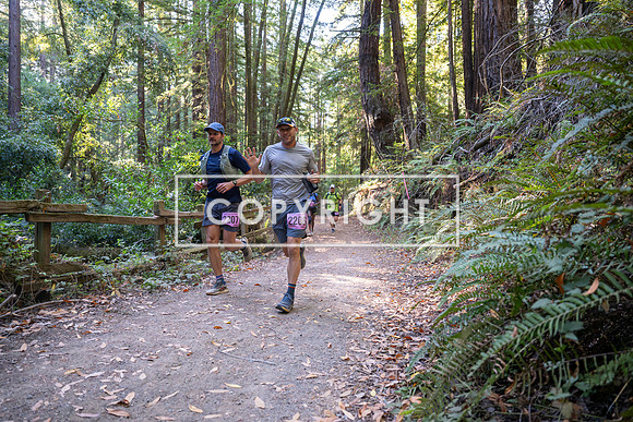 Coastal_Woodside26-369