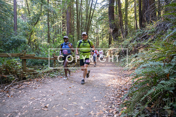 Coastal_Woodside26-372
