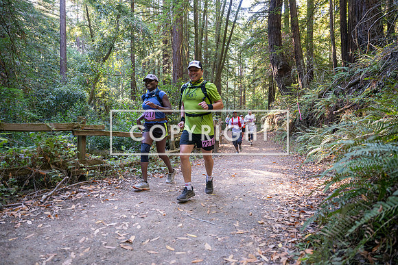 Coastal_Woodside26-373