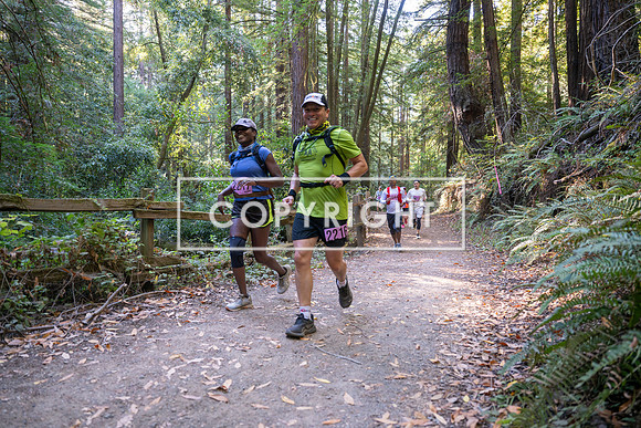 Coastal_Woodside26-374