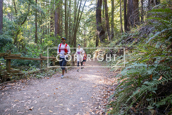 Coastal_Woodside26-375