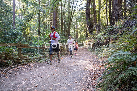 Coastal_Woodside26-376