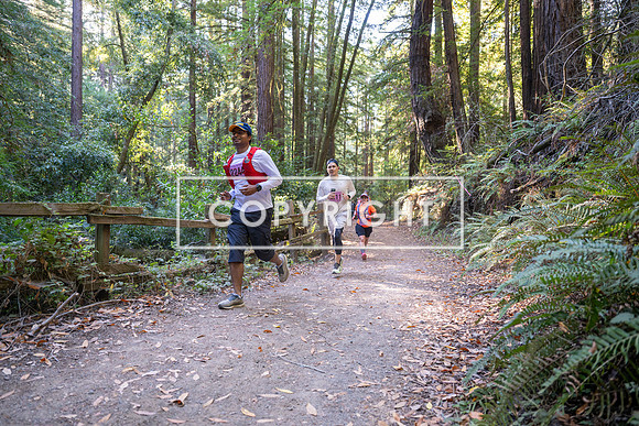 Coastal_Woodside26-377
