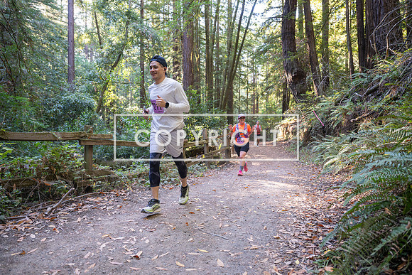 Coastal_Woodside26-378