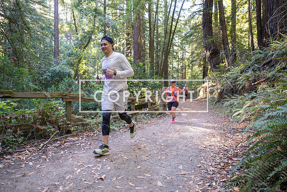 Coastal_Woodside26-379