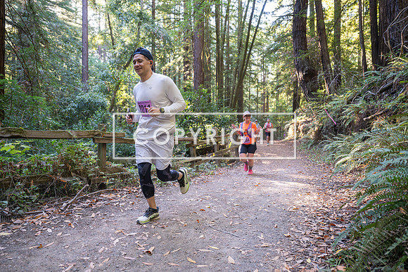 Coastal_Woodside26-380