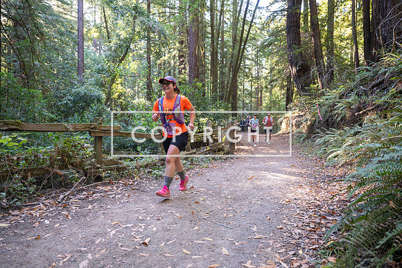 Coastal_Woodside26-381