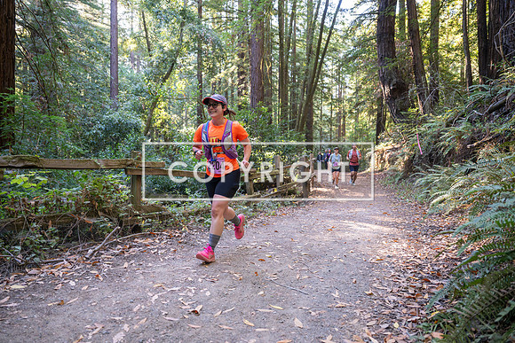 Coastal_Woodside26-382