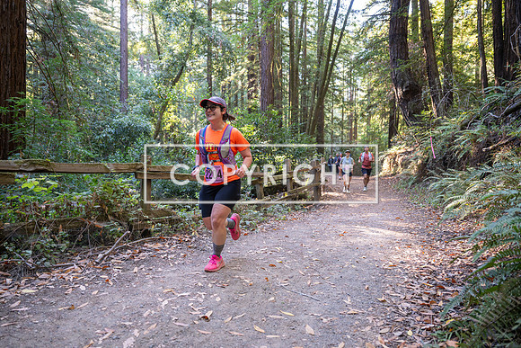 Coastal_Woodside26-383