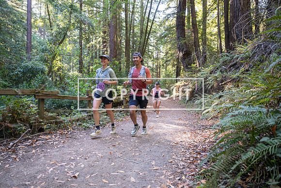 Coastal_Woodside26-384