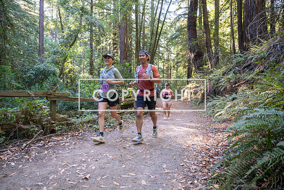 Coastal_Woodside26-385