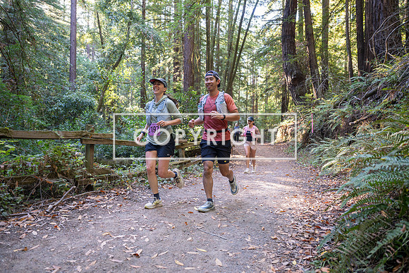Coastal_Woodside26-386
