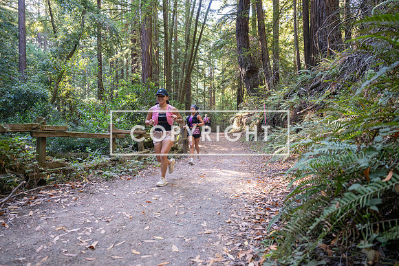 Coastal_Woodside26-387