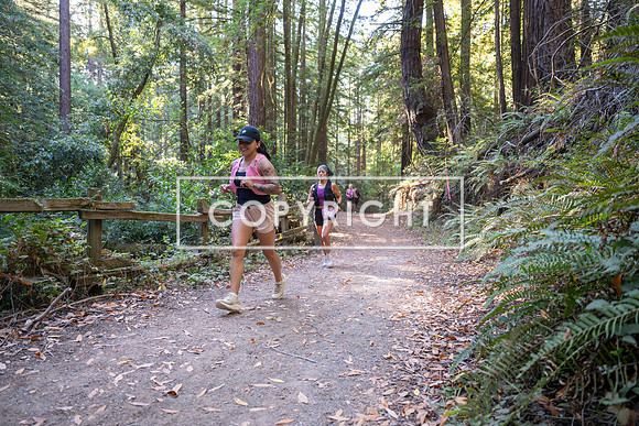 Coastal_Woodside26-388