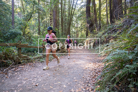Coastal_Woodside26-389