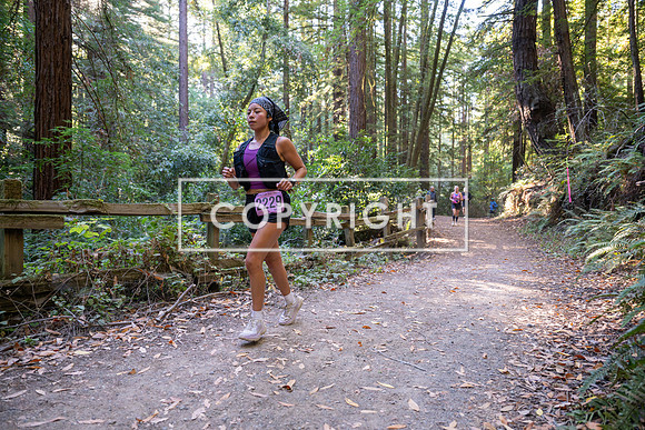 Coastal_Woodside26-390