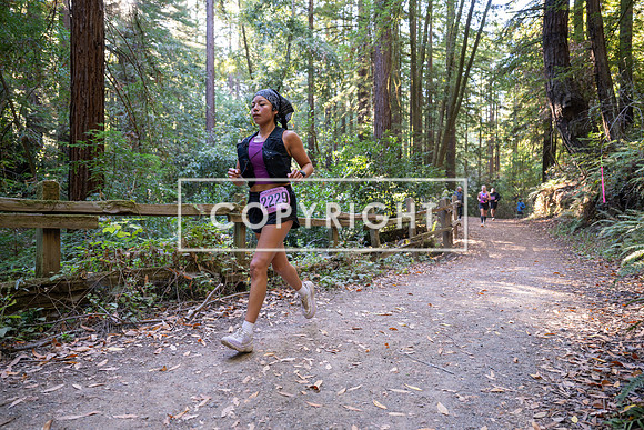 Coastal_Woodside26-391