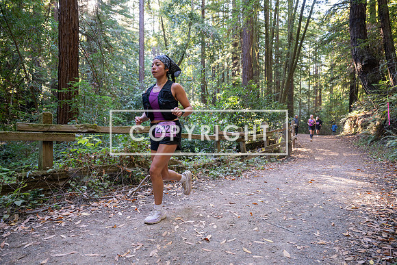 Coastal_Woodside26-392