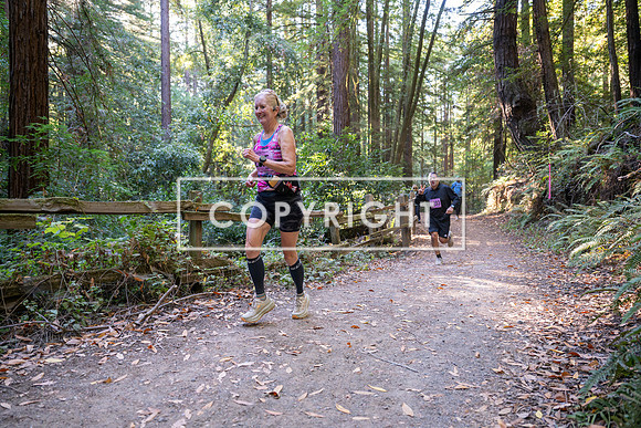 Coastal_Woodside26-393