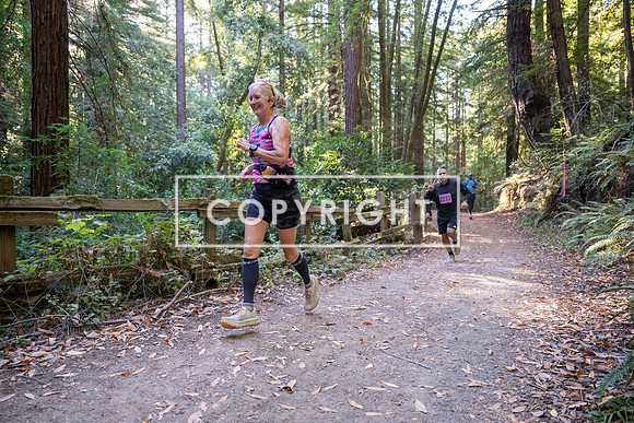 Coastal_Woodside26-394