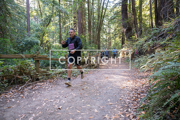 Coastal_Woodside26-396