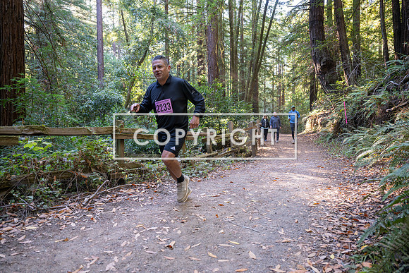 Coastal_Woodside26-397