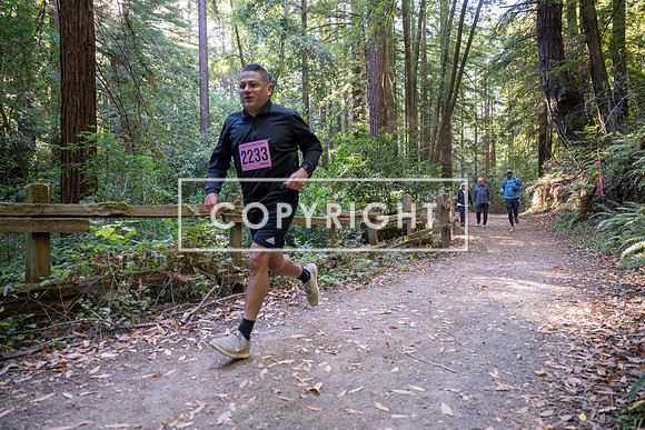 Coastal_Woodside26-398