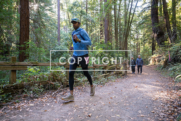 Coastal_Woodside26-399