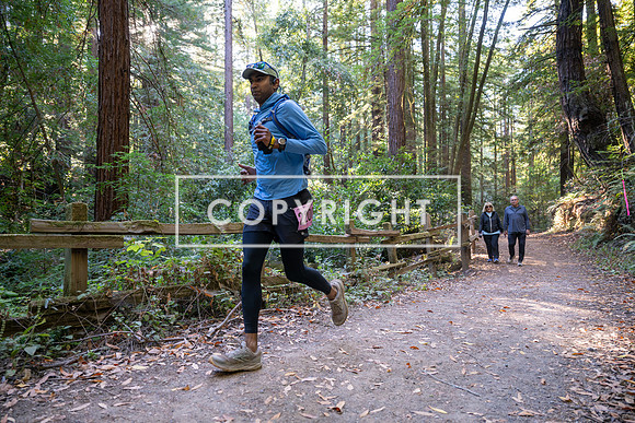 Coastal_Woodside26-400