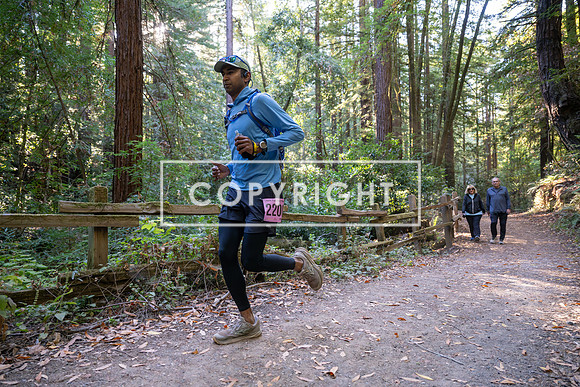 Coastal_Woodside26-401