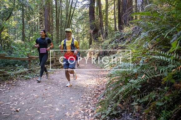 Coastal_Woodside26-403
