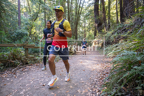 Coastal_Woodside26-406