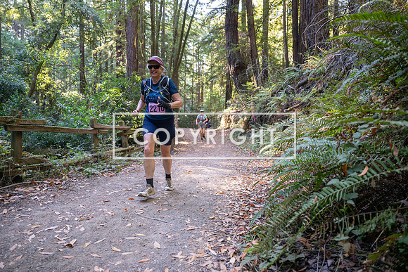 Coastal_Woodside26-407