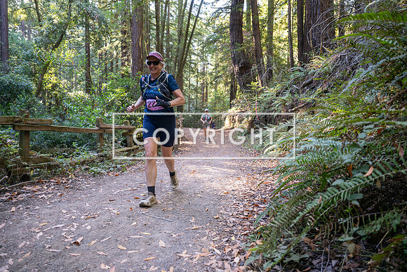 Coastal_Woodside26-408