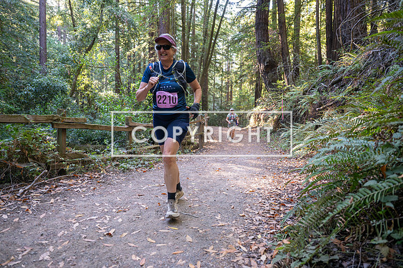 Coastal_Woodside26-409