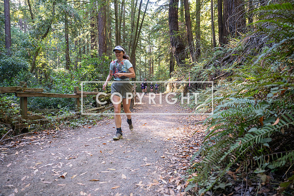 Coastal_Woodside26-410