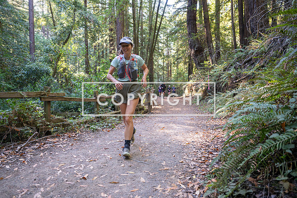 Coastal_Woodside26-412