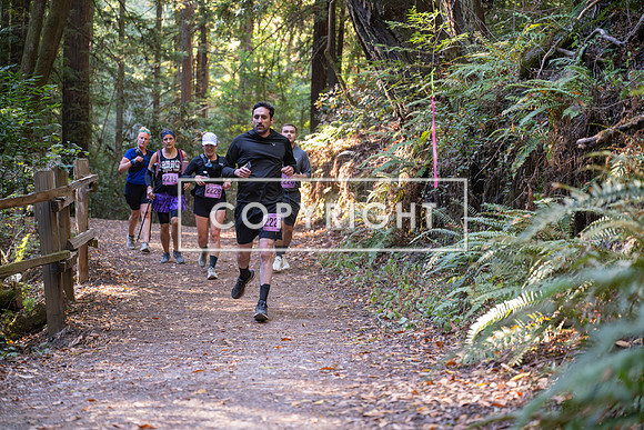 Coastal_Woodside26-413