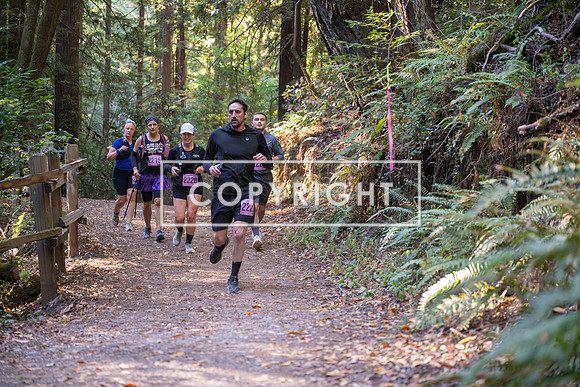 Coastal_Woodside26-414