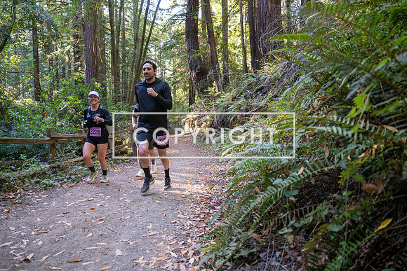 Coastal_Woodside26-416