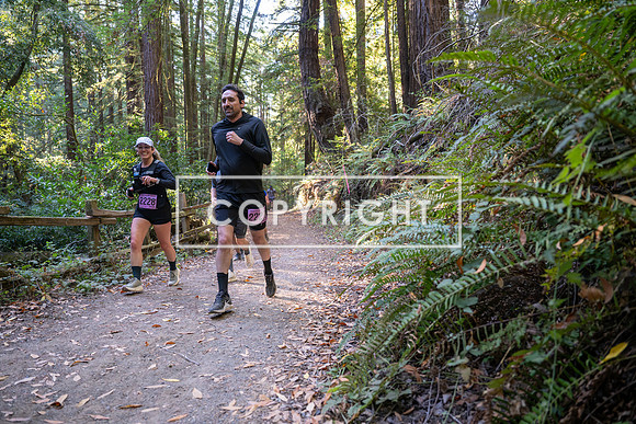Coastal_Woodside26-417
