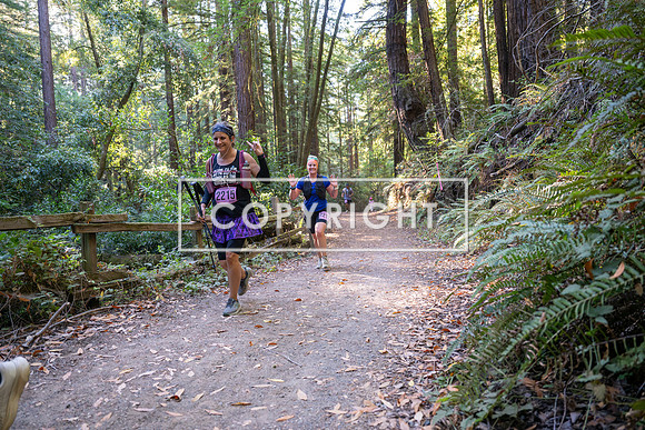 Coastal_Woodside26-418