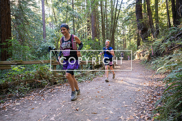 Coastal_Woodside26-420