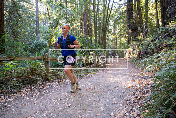 Coastal_Woodside26-421