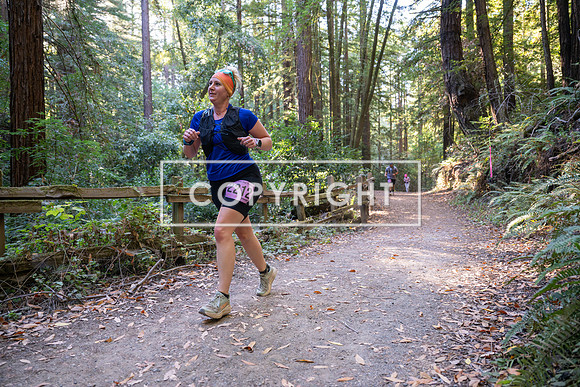 Coastal_Woodside26-422