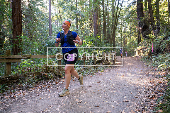 Coastal_Woodside26-423