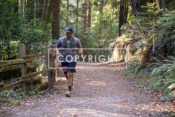 Coastal_Woodside26-424