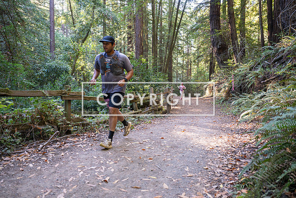 Coastal_Woodside26-426
